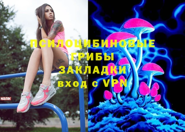 PSILOCYBIN Волоколамск