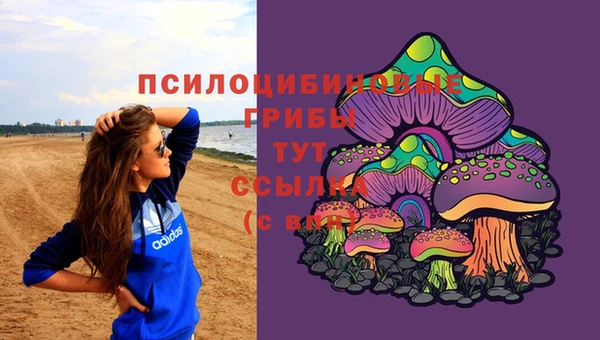 синтетический гашиш Володарск