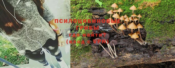 PSILOCYBIN Волоколамск