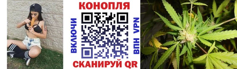 Конопля план  MEGA как войти  Луза 